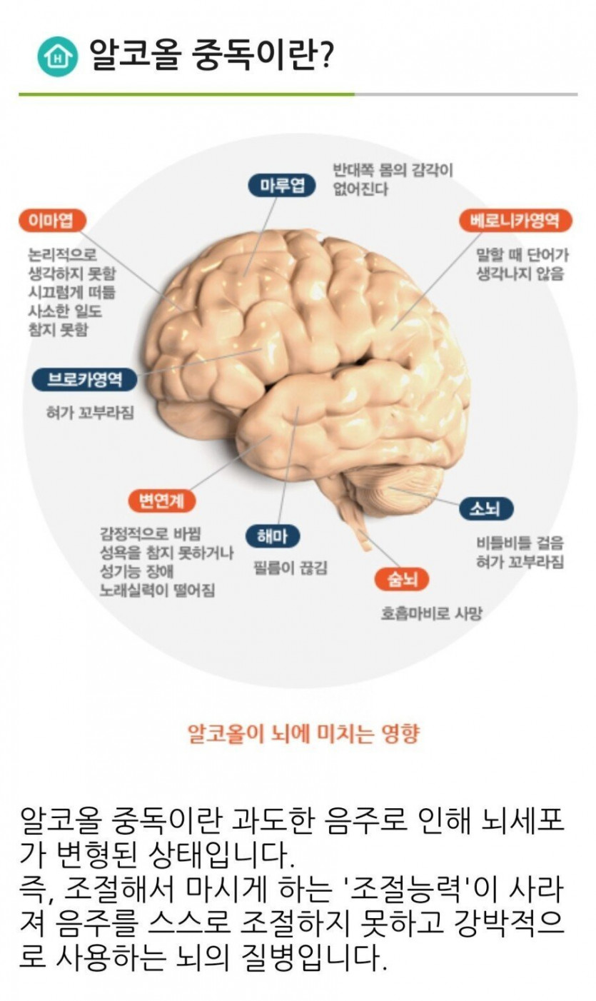 20250717225731_e55fe6f0defb7e67264fb3f9d4b75b16_44k9.jpg