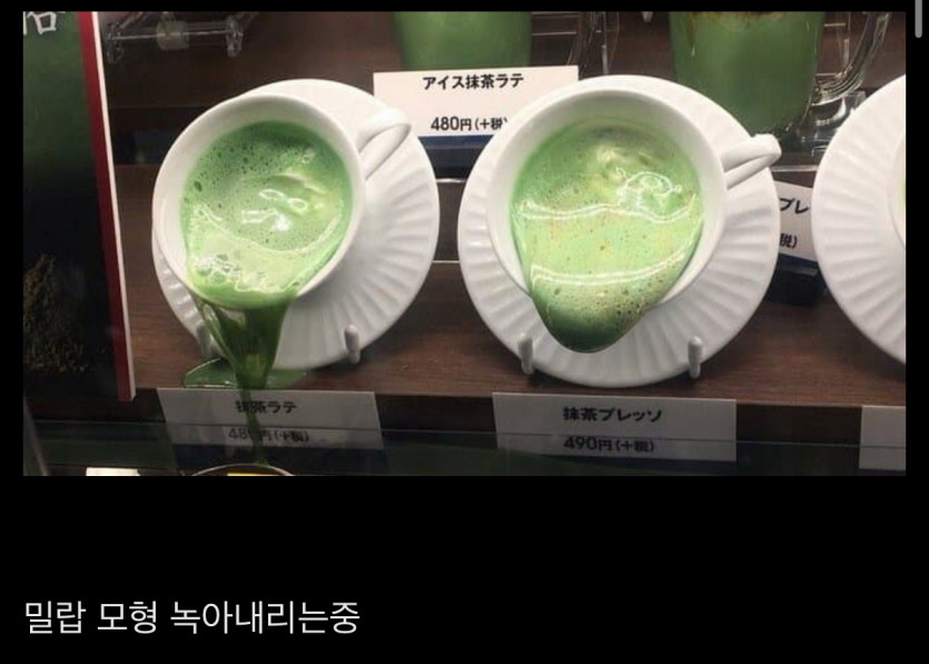 일본 폭염 근황2